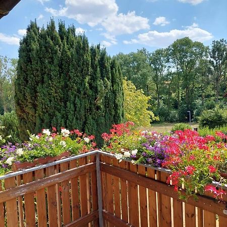 Ferienwohnung Meissner Bad Rodach Esterno foto